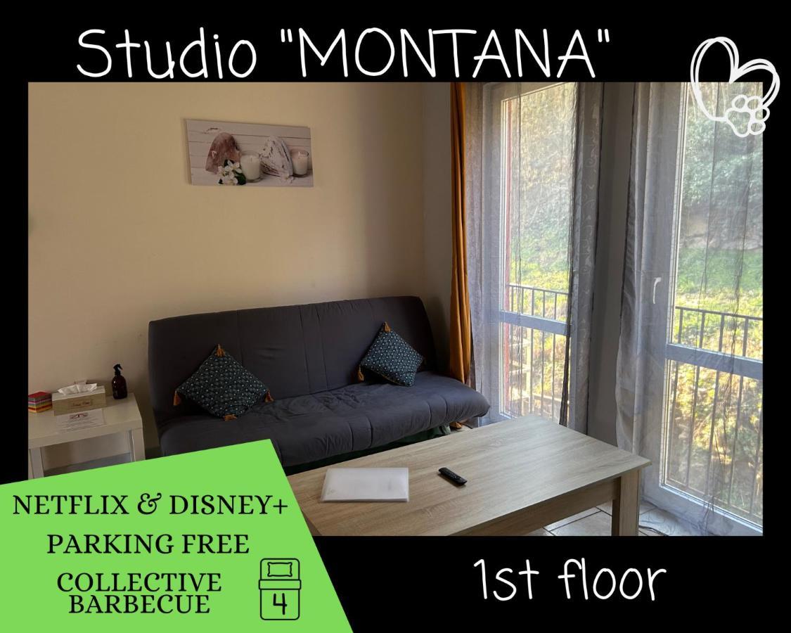 L'Arizona Dinant - Studio Montana - Barbecue, Free Parking, Dog Ok Экстерьер фото